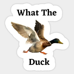 What The Duck Sticker